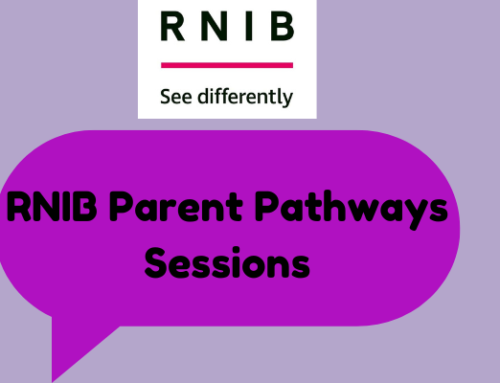 Parent Pathways course- delivered by the RNIB